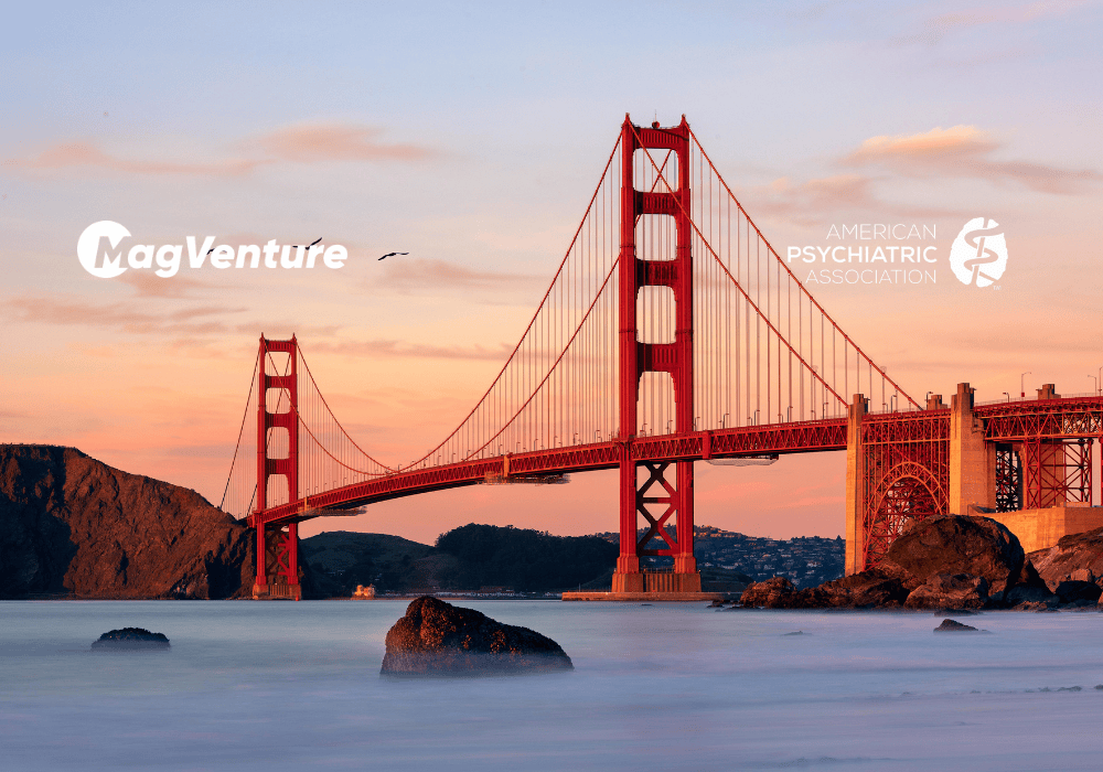 American Psychiatric Association (APA)