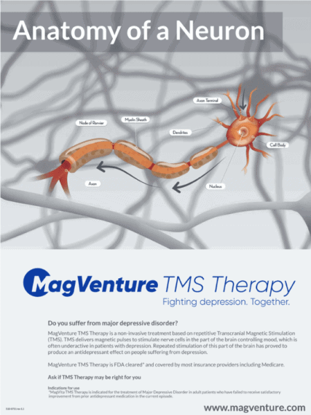 Poster – Anatomy of a Neuron