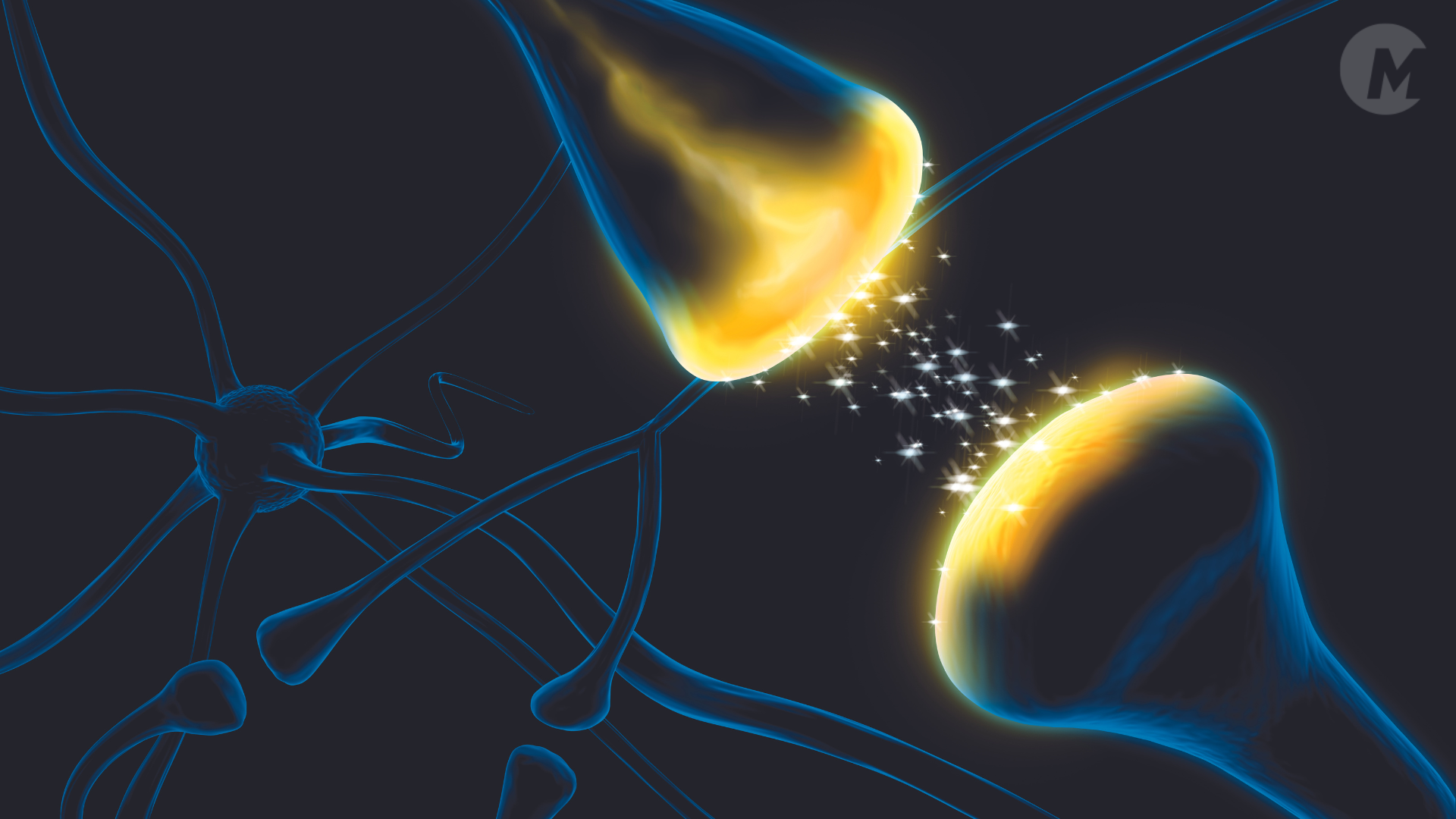 Leveraging TMS Therapy: A blueprint for clinic success